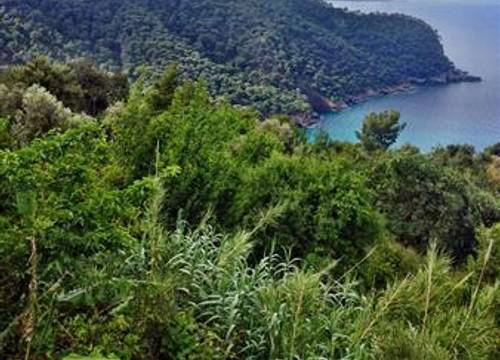 turkiye/mugla/bodrum/golkoy-suites-boutique-hotel-287262297.jpg