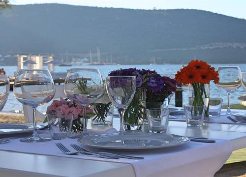 turkiye/mugla/bodrum/grand-yazici-torba-beach-club-50fc81e2.jpeg