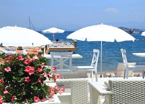 turkiye/mugla/bodrum/grand-yazici-torba-beach-club-f2ae6c23.jpeg