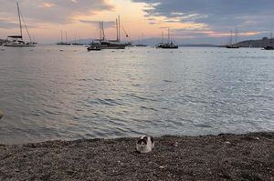 turkiye/mugla/bodrum/gumbahce-otel_d74233e0.jpg