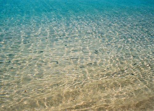 turkiye/mugla/bodrum/gumbet-beach-resort_baf4d4d8.jpg