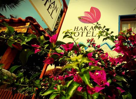 turkiye/mugla/bodrum/hakan-hotel-bitez-d686a1ad.jpg