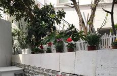 turkiye/mugla/bodrum/halikarnas-pansiyon-f59b74ea.jpg