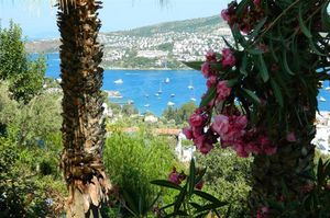 turkiye/mugla/bodrum/hurpa-residence-6c51ae8c.jpg