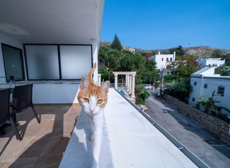 turkiye/mugla/bodrum/ilya-apart-2-bodrum_0b1d5a1f.jpg