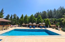 turkiye/mugla/bodrum/img20240119wa0025_1600x12003ec516483881417abd58d66ea853d44c.jpg
