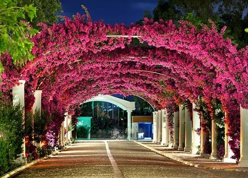 turkiye/mugla/bodrum/kadikale-resort-spa-welness_8de8de83.jpg