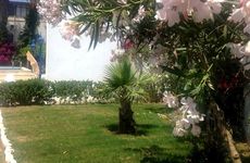 turkiye/mugla/bodrum/kaptan-hotel_b9d5be9f.jpg