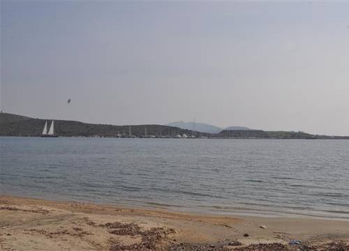 turkiye/mugla/bodrum/karya-palm-beach-hotel-2126126145.JPG