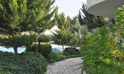 turkiye/mugla/bodrum/karya-palm-beach-hotel-613720676.JPG