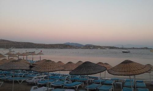 turkiye/mugla/bodrum/karya-palm-beach-hotel_c2a95229.jpg
