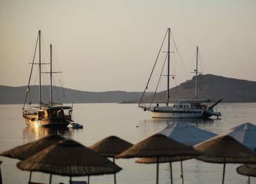 turkiye/mugla/bodrum/kemanciapart-157342.jpg