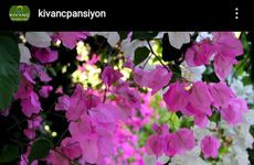 turkiye/mugla/bodrum/kivanc-pansiyon_46e38340.jpg