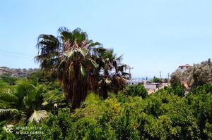 turkiye/mugla/bodrum/kivanc-pansiyon_c5c340df.jpg