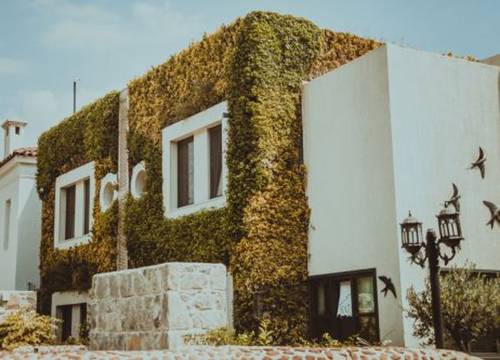turkiye/mugla/bodrum/kocadon-museum-hotel_3d1b5784.jpg