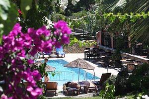 turkiye/mugla/bodrum/kriss-hotel-825083806.jpg