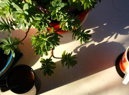 turkiye/mugla/bodrum/la-luna-hostel_7dd3f90a.jpg