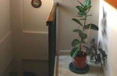 turkiye/mugla/bodrum/la-luna-hostel_8dfe952e.jpg