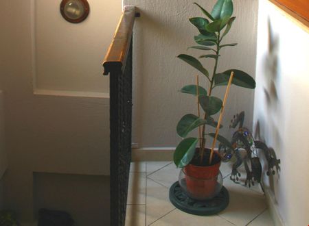 turkiye/mugla/bodrum/la-luna-hostel_8dfe952e.jpg