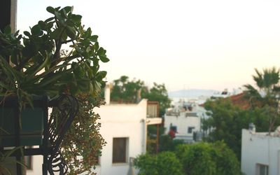 La Luna Hostel · 3