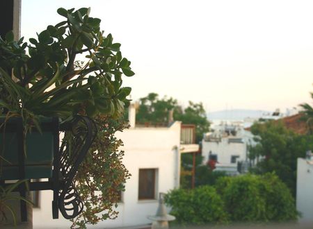 turkiye/mugla/bodrum/la-luna-hostel_abe96df3.jpg