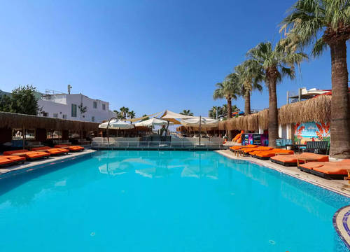 turkiye/mugla/bodrum/ladonia-hotels-leo-beach-resort_80f49ae2.jpg