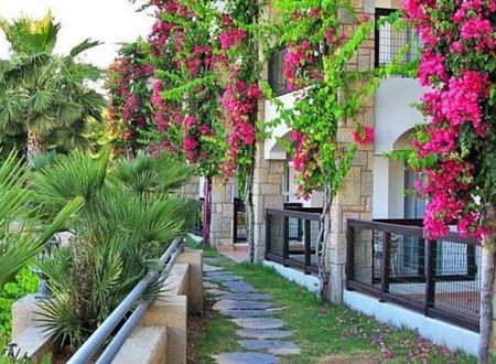 turkiye/mugla/bodrum/light-house-hotel_2702b1da.jpg