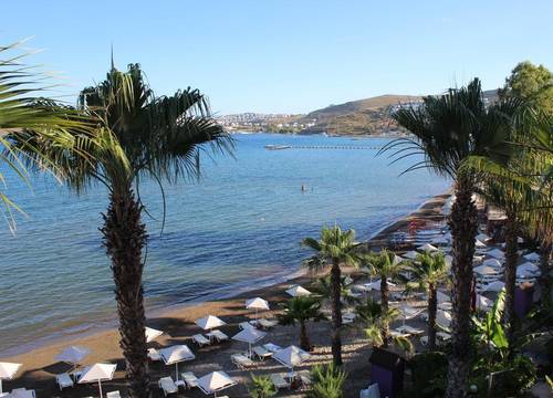 turkiye/mugla/bodrum/light-house-hotel_4dcddec5.jpg