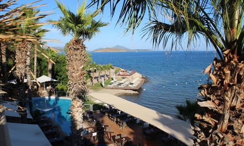 turkiye/mugla/bodrum/light-house-hotel_7aa1e373.jpg