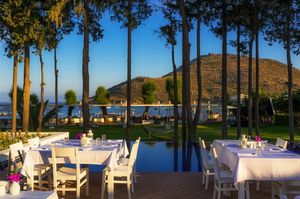 turkiye/mugla/bodrum/liv-hotel-by-bellazure-8583897b.jpg