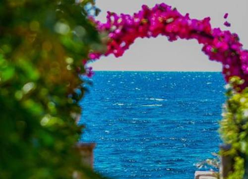 turkiye/mugla/bodrum/lizbonia-hotels-bodrum_4a6bcd92.jpg