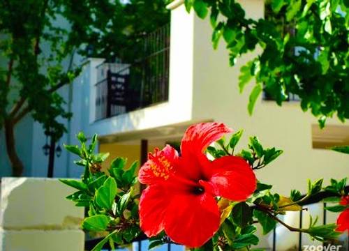 turkiye/mugla/bodrum/mandarin-apart-1640303.jpg
