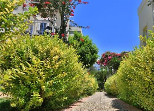 turkiye/mugla/bodrum/mandarin-resort-hotel-spa-1379020709.jpg