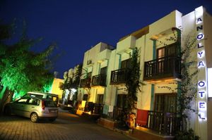 turkiye/mugla/bodrum/manolya-otel-c01b848c.jpg