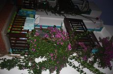 turkiye/mugla/bodrum/manolya-otel_b260da0a.jpg