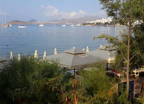 turkiye/mugla/bodrum/manuela-otel-1959312.jpg