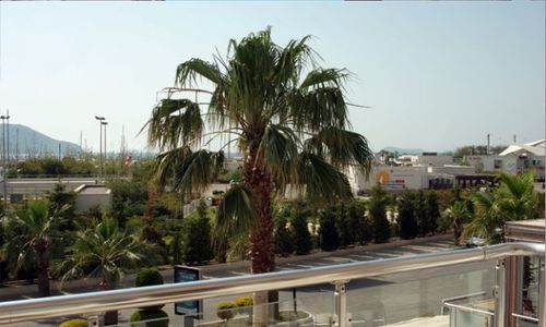 turkiye/mugla/bodrum/marin-a-hotel-turgutreis-1055798.jpg