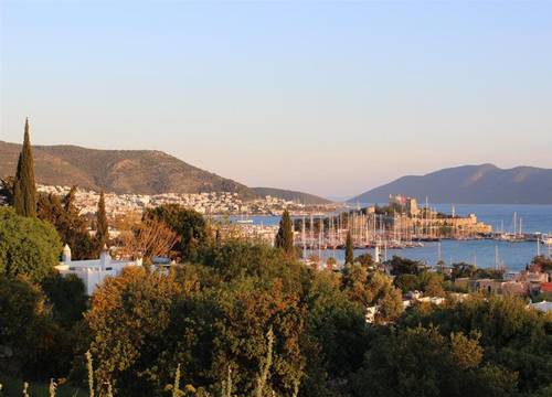 turkiye/mugla/bodrum/mars-villas-apart-hotel-f731c9ed.jpg