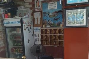 turkiye/mugla/bodrum/mavi-pansiyon-10696-0a40e33e.jpg