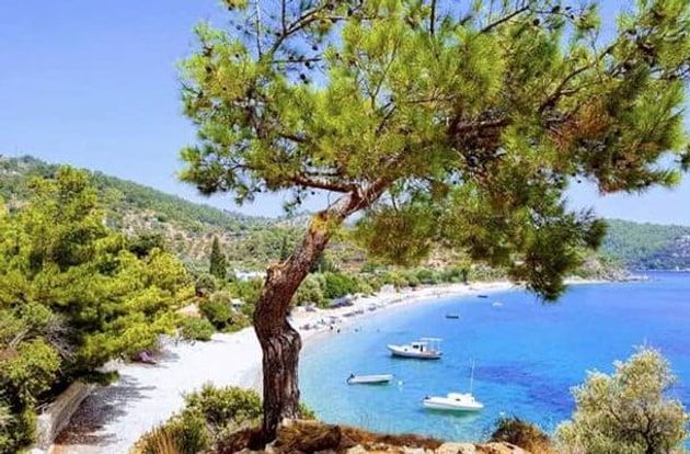 turkiye/mugla/bodrum/mazi-ege-pansiyon_70f627dc.jpg