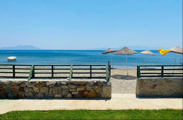 turkiye/mugla/bodrum/mazi-wood-tiny-house-bodrum_416157e1.png