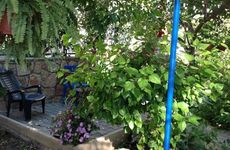 turkiye/mugla/bodrum/menekse-pansiyon-1920933.jpg