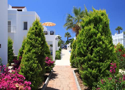 turkiye/mugla/bodrum/mer-can-story_d0b14514.jpg
