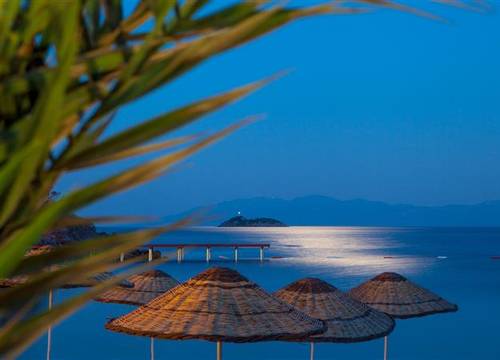turkiye/mugla/bodrum/mio-bianco-resort-1270097642.jpg