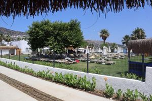 turkiye/mugla/bodrum/muka-life_6307371c.jpg