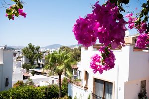 turkiye/mugla/bodrum/muna-han_a0638c38.jpg