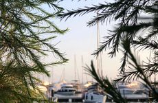 turkiye/mugla/bodrum/my-marin-hotel-dec111a8.jpg