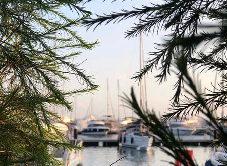 turkiye/mugla/bodrum/my-marin-hotel-dec111a8.jpg