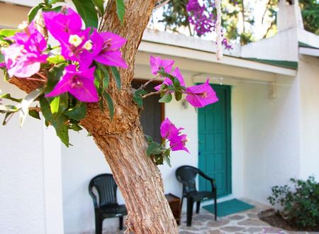 turkiye/mugla/bodrum/myndos-badbreakfast_2b772202.jpg