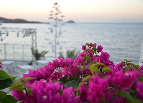 turkiye/mugla/bodrum/nomia-butik-hotel_bc576569.jpg